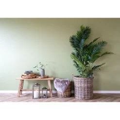 Boliginteriør BOLIGINTERIØR ARECA PALME KUNSTIG PLANTE 175 CM Online