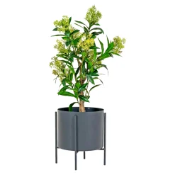 Boliginteriør BOLIGINTERIØR KUNSTIG PLANTE 75 CM Sale