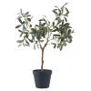 Boliginteriør BOLIGINTERIØR OLIVENTRÆ KUNSTIG PLANTE 61 CM^ Boligindretning