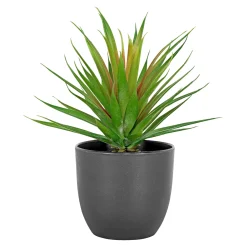 Boliginteriør BOLIGINTERIØR SUKULENT KUNSTIG PLANTE 20,5 CM New