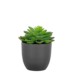Boliginteriør BOLIGINTERIØR SUKULENT KUNSTIG PLANTE 15 CM Best