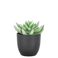 Boliginteriør BOLIGINTERIØR SUKULENT KUNSTIG PLANTE 14 CM^ Boligindretning