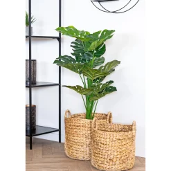 Boliginteriør BOLIGINTERIØR VANDHYACINT KURVESÆT NATUR H30/H35 CM Sale