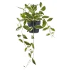 Boliginteriør BOLIGINTERIØR VOKSBLOMST KUNSTIG PLANTE 33 CM^ Boligindretning