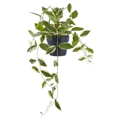 Boliginteriør BOLIGINTERIØR VOKSBLOMST KUNSTIG PLANTE 33 CM^ Boligindretning
