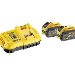 Dewalt DCB118X2 LADER 54V Best