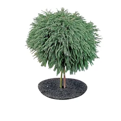 Garden Life GRÆSKANT Ø50XH7 CM Clearance