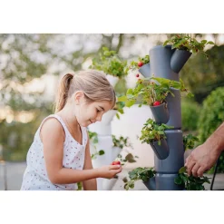 Garden Life JORDBÆR PLANTEKASSE Ø32XH77 CM^ Frø & Spiring