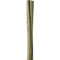 HOME it GARDEN BAMBUSPINDE 60 CM Hot