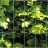 Hortus HEGN GRØN PLASTBELAGT 0.60 X 25 M Online