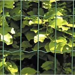 Hortus HEGN GRØN PLASTBELAGT 0.60 X 25 M Online