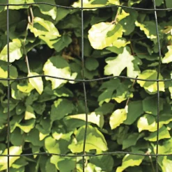 Hortus PVC FRI TRÅDHEGN SORT PLASTBELAGT 0.60 X 20 M^ Trådhegn & Volierenet