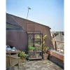 Juliana CITY GREENHOUSE VÆGDRIVHUS 4 MM HÆRDET GLAS HELE BANER SORT 0,32 M2 Sale