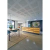Knauf DESIGNPANEL G1F, UBEH. FAS4 AKUSTIKLOFT 13 X 900 X 2700 MM^ Gipsplader & Tilbehør