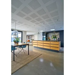 Knauf DESIGNPANEL G1F, UBEH. FAS4 AKUSTIKLOFT 13 X 900 X 2700 MM^ Gipsplader & Tilbehør