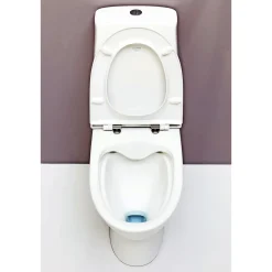 Laufen PRO N S-LÅS RIMLESS TOILET Online