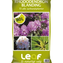 Leaf RHODODENDRONBLANDING 60 L^ Jord