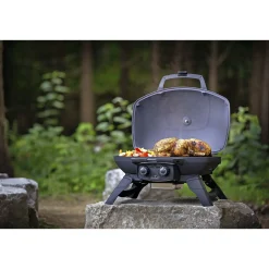 Napoleon TRAVELQ 285 GASGRILL SORT New