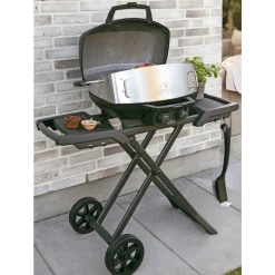 Napoleon TRAVELQ PRO285 PHANTOM GASGRILL MAT SORT^ Gasgrill