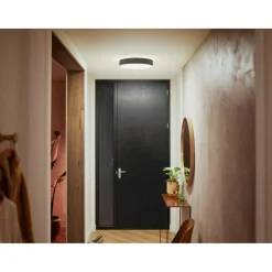 Philips Hue WA ENRAVE M PLAFOND 19W SORT 437 MM^ Smart Belysning