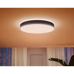 Philips Hue WA ENRAVE XL PLAFOND 48W SORT 600 MM