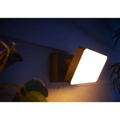 Philips Hue WCA DISCOVER UDENDØRS VÆGLAMPE 31W SORT^ Smart Belysning