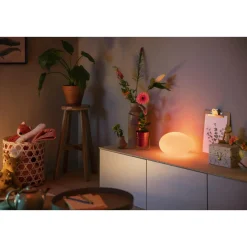 Philips Hue WCA FLOURISH BORDLAMPE HVID 26,1 CM Online