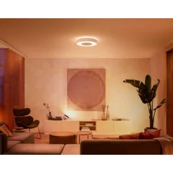 Philips Hue WCA INFUSE PLAFOND 53W HVID 476 MM Discount