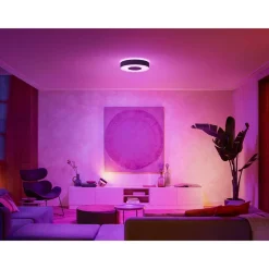 Philips Hue WCA INFUSE PLAFOND 34W SORT 437 MM Sale