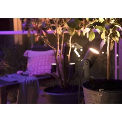 Philips Hue WCA LILY BASIS SPOTLAMPE SORT INTEGRERET LED 8W^ Smart Belysning