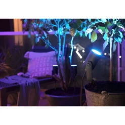 Philips Hue WCA LILY UDVIDELSE SPOTLAMPE SORT INTEGRERET LED 8W^ Smart Belysning