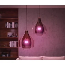 Philips Hue WCA SMART, 2 X E27, BRIDGE, DIM. SWITCH & PLUG STARTSÆT^ Smart Belysning