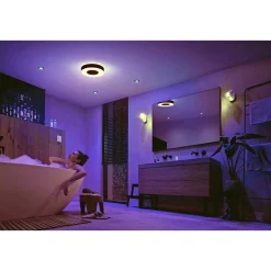 Philips Hue WCA XAMENTO LOFTLAMPE 33W SORT 38,1 CM^ Smart Belysning