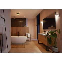 Philips Hue WCA XAMENTO LOFTLAMPE 33W SORT 38,1 CM^ Smart Belysning