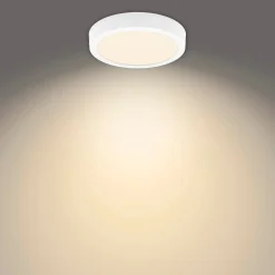 Philips MAGNEOS PLAFOND 12W HVID 21 CM^ Plafonder