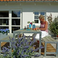 Plus PLANKESÆT NATUR Hot