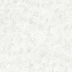 Rasch STUDIO 2027 BETON TAPET 0,53X10 M^ Tapet & Glasvæv