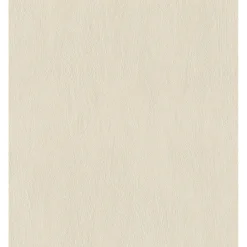 Rasch STUDIO 2027 ENSFARVET TAPET 0,53X10 M Online