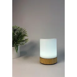 Veli Line MOOD LIGHT GENOPLADELIG BORDLAMPE MULTI New